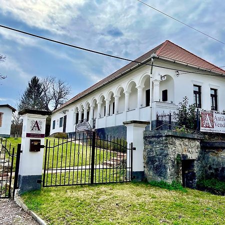 Antik Vendeghaz Hotel Nagyvisnyó Buitenkant foto