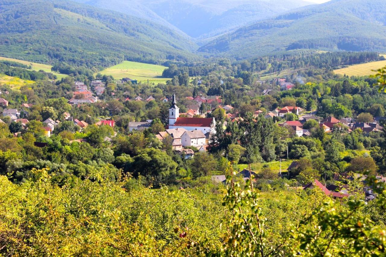 Antik Vendeghaz Hotel Nagyvisnyó Buitenkant foto