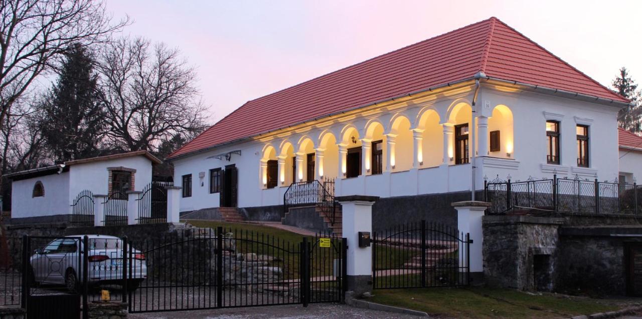 Antik Vendeghaz Hotel Nagyvisnyó Buitenkant foto