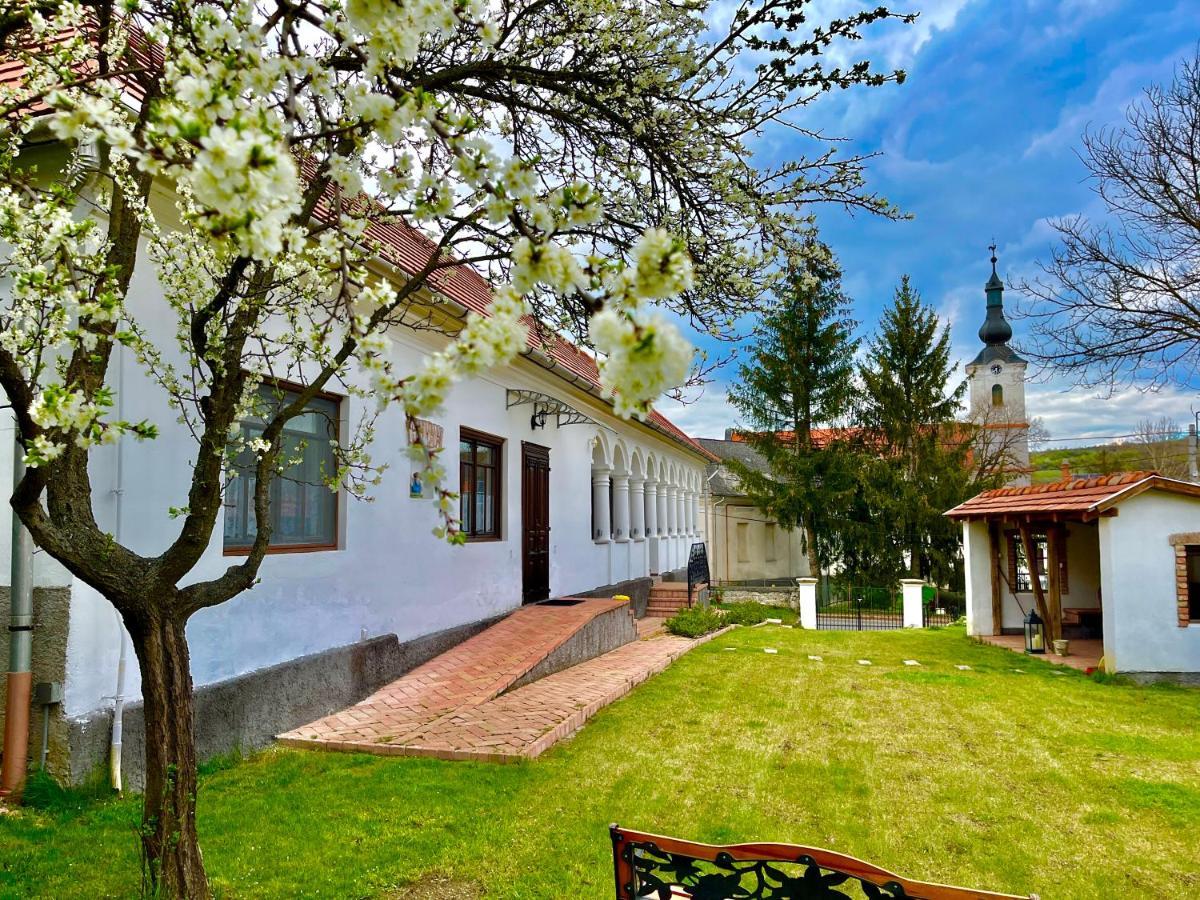 Antik Vendeghaz Hotel Nagyvisnyó Buitenkant foto